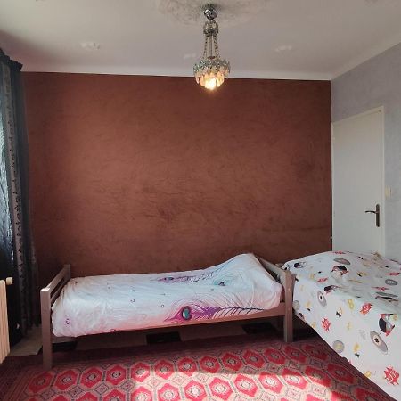 Agreable Appartement Familial Avec Jardin Блуа Экстерьер фото